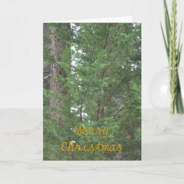 Lake- Tahoeweihnachtssammlungs-Karte Feiertagskarte (Vorderseite)