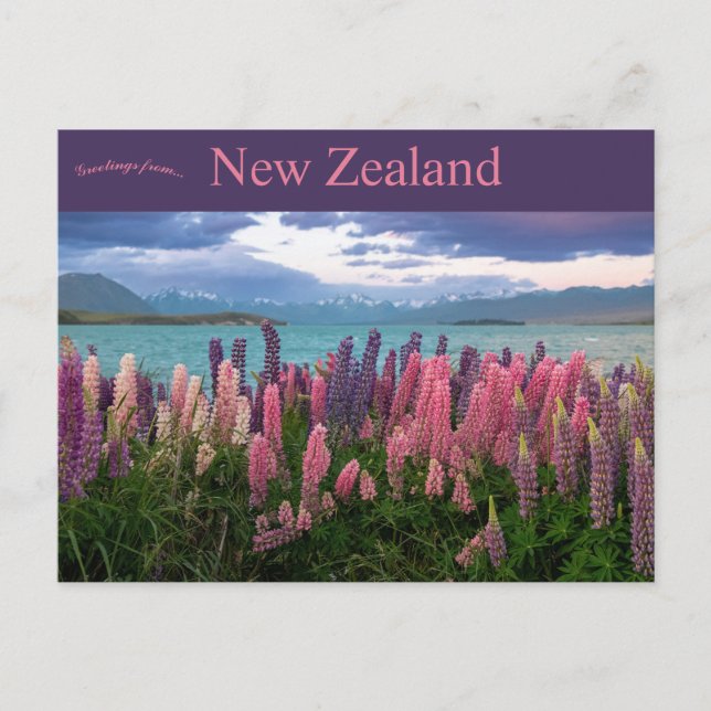 Lake Tekapo Neuseeland Postkarte (Vorderseite)