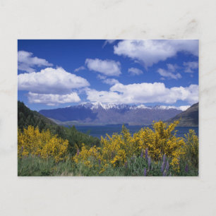 Lake Wakatipu und die Remarkables, Queenstown, Postkarte