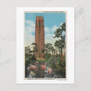 Lake Wales, FL - View of Singing Postkarte