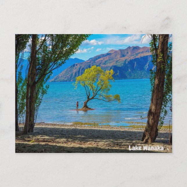 Lake Wanaka New Zealand Postkarte (Vorderseite)