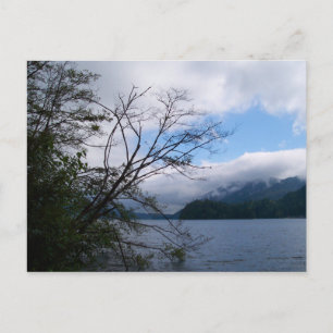 Lake Whatcom Postkarte