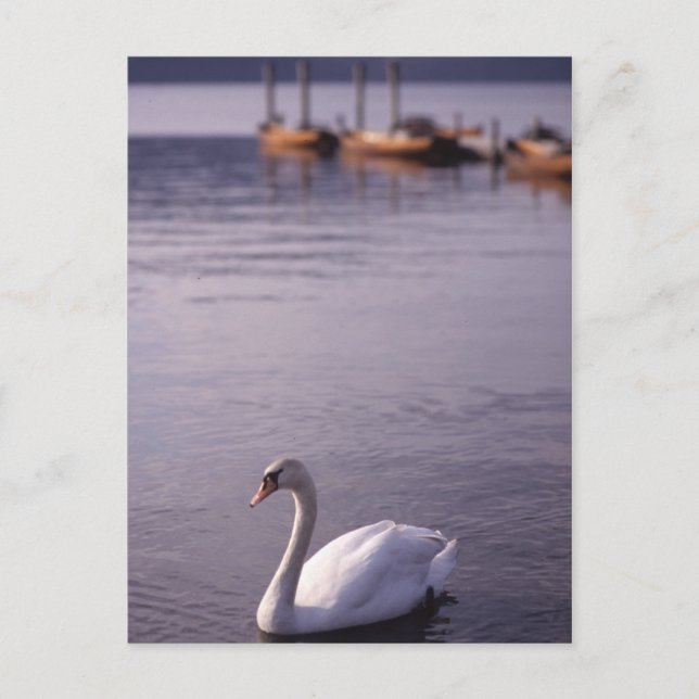 Lake Windermere Postkarte (Vorderseite)