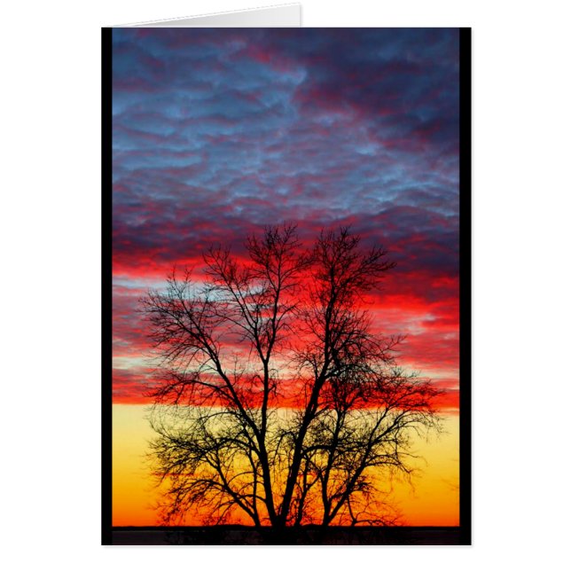 Lake Winnebago American Flag Sunset (Vorne)