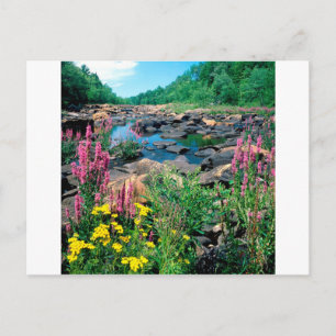 Lake Wisconsin River Ice Age Reserve Wisconsin Postkarte