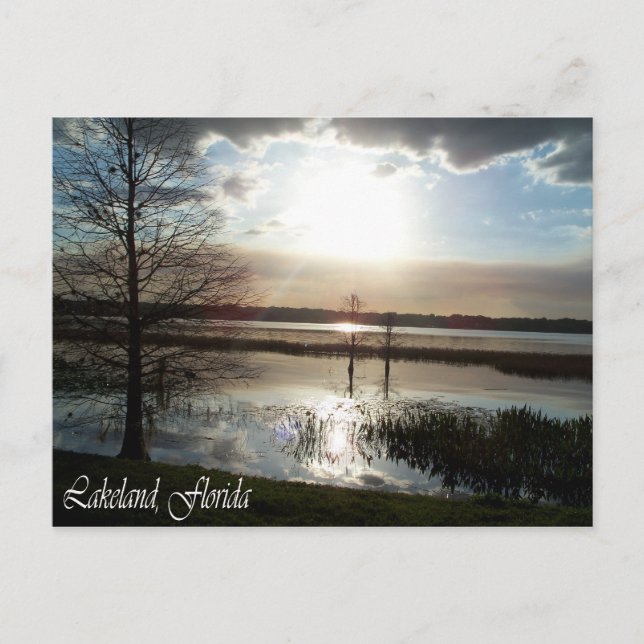 Lakeland, Florida 012 Postkarte (Vorderseite)