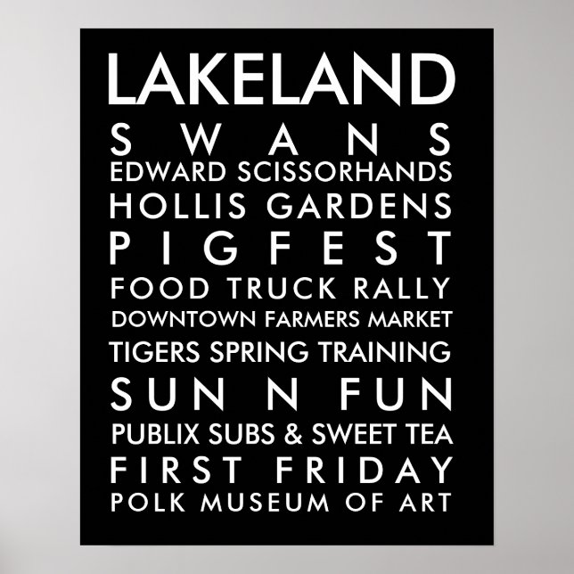 Lakeland-Geschichte 16x20 weißer Text Poster (Vorne)