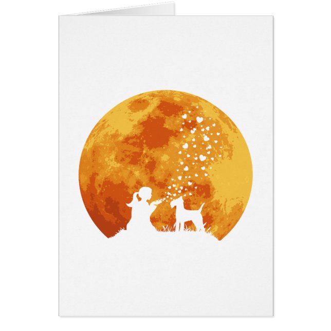 Lakeland Terrier (Vorne)