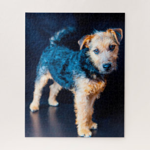 Lakeland Terrier Dog. Puzzle