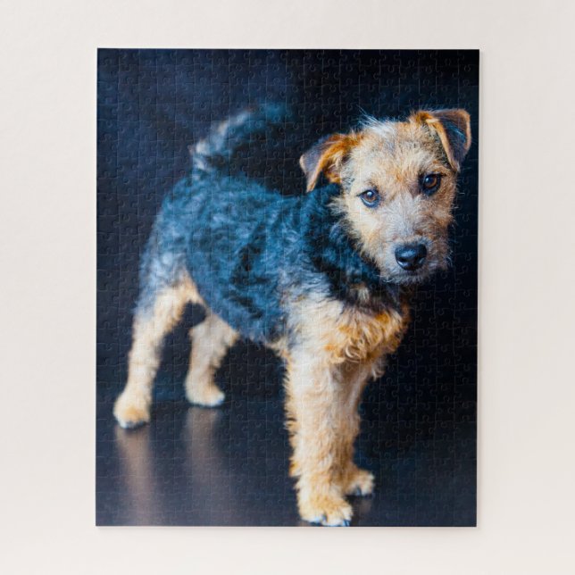 Lakeland Terrier Dog. Puzzle (Vertikal)