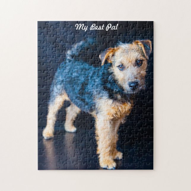 Lakeland Terrier Dog. Puzzle (Vertikal)