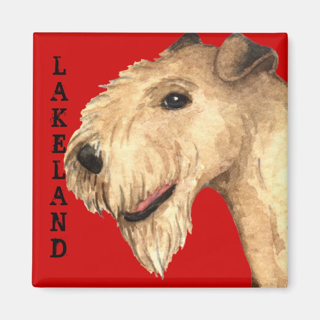 Lakeland Terrier Farbblock Magnet (Vorne)