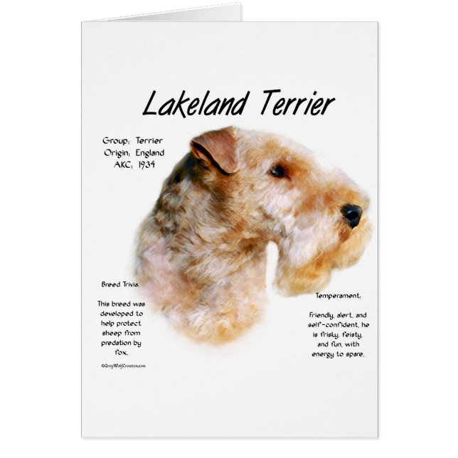 Lakeland Terrier History Design (Vorne)