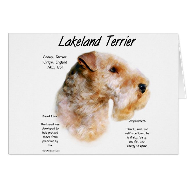 Lakeland Terrier History Design (Vorderseite (Horizontal))
