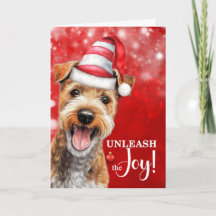 Lakeland Terrier Hund entfesselt die Freude Weihna