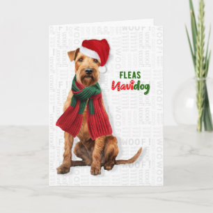 Lakeland Terrier Hund Lustige Flöhe Navidog Weihna Feiertagskarte