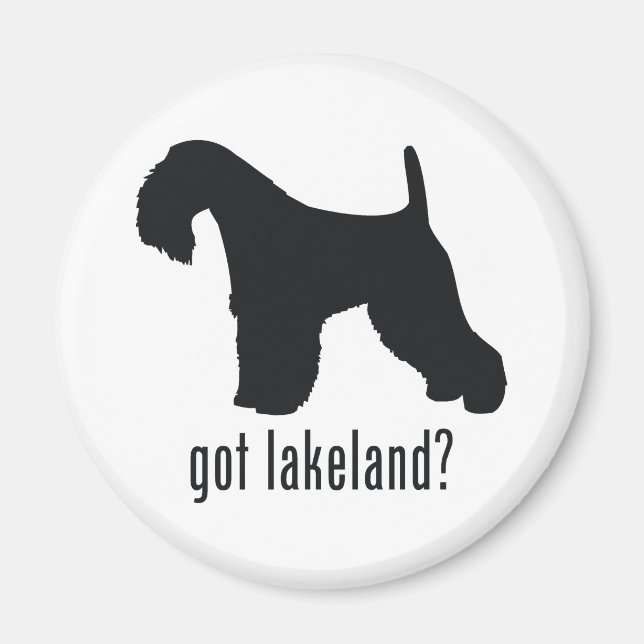 Lakeland Terrier Magnet (Vorne)