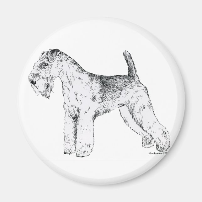 Lakeland Terrier Magnet (Vorne)