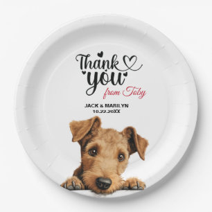 Lakeland Terrier Pappteller
