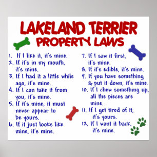 LAKELAND TERRIER PL2 POSTER