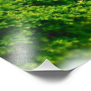 Lakeshores am Strand von Chicago Fotodruck