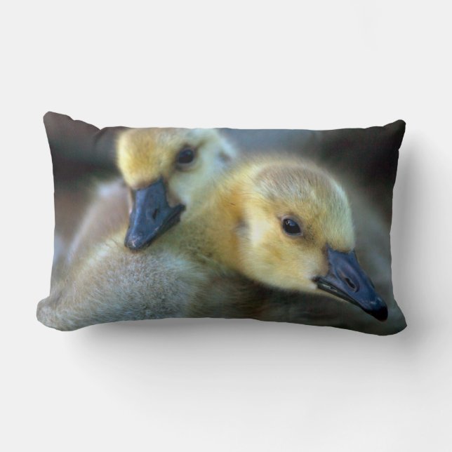 Lakeside Lendenkissen (Vorderseite)