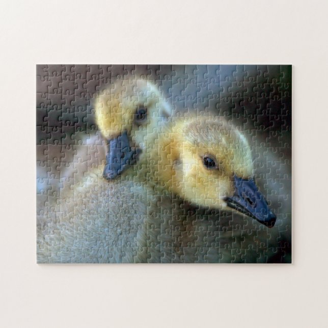 Lakeside Puzzle (Horizontal)