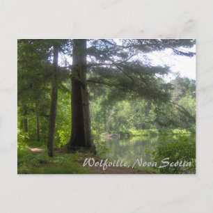 Lakeside Woodland Postkarte