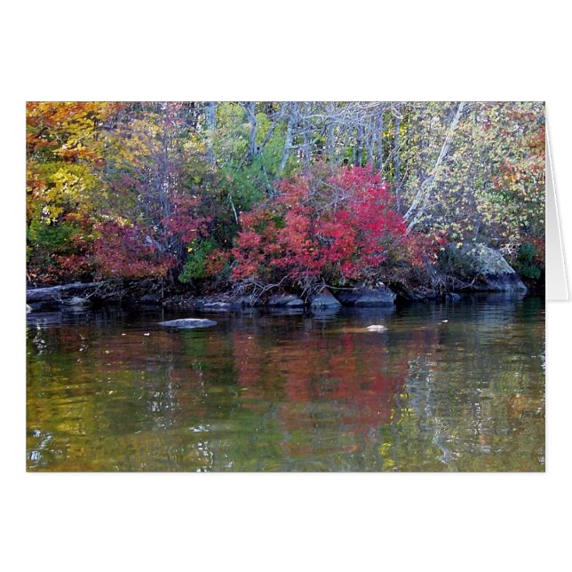 Lakeview (Vorderseite (Horizontal))