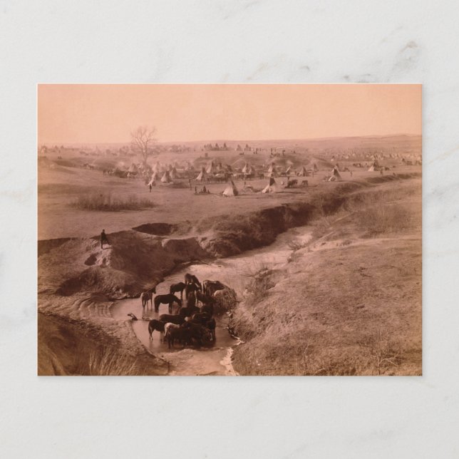 Lakota Tipi Camp Postkarte (Vorderseite)