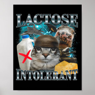 Laktoseintolerante alberne Katzen-Meme Lustiger Sp Poster