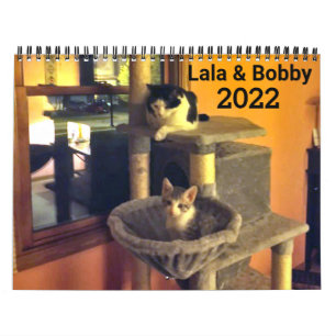 Lala & Bobby 2022 Personalisiert Cats Calendar Kalender