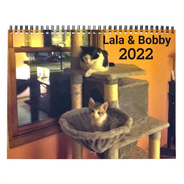 Lala & Bobby 2022 Personalisiert Cats Calendar Kalender (Titelbild)