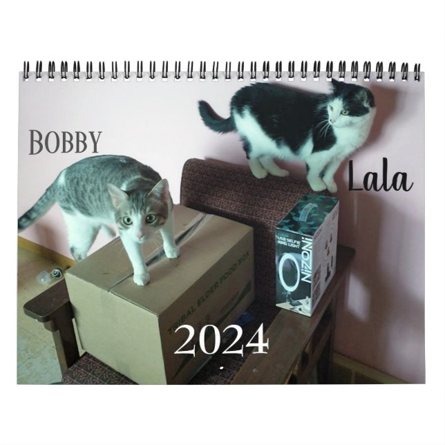 Lala & Bobby Personalisiert Cat Calendar 2024 Kalender (Titelbild)