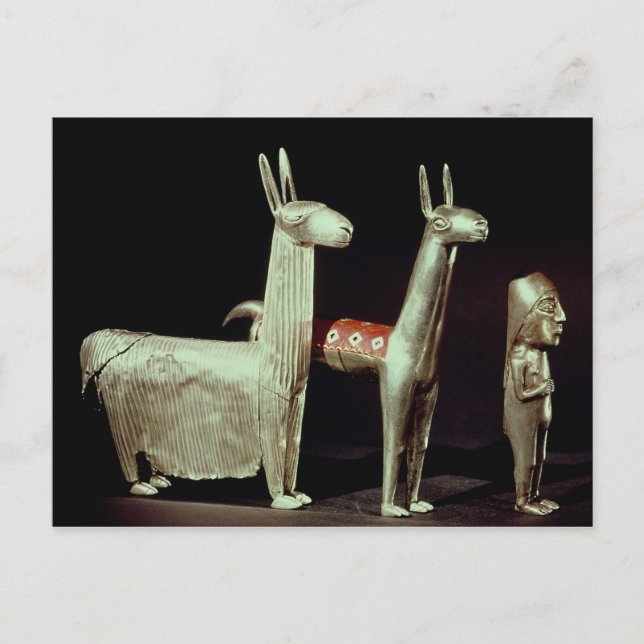 Lama, Alpaka und Frau Postkarte (Vorderseite)