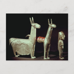 Lama, Alpaka und Frau Postkarte