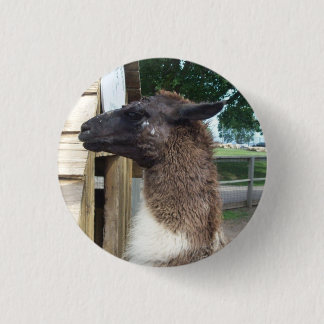 Lama Button