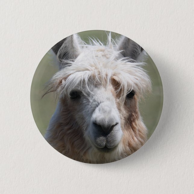 Lama Button (Vorderseite)