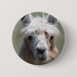 Lama Button