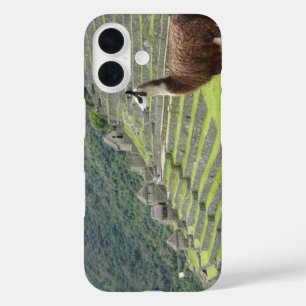 Lama iPhone 16 Hülle