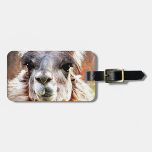 Lama Gepäckanhänger