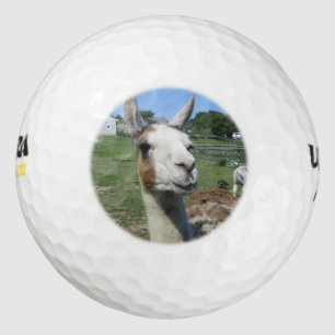 Lama Golfball