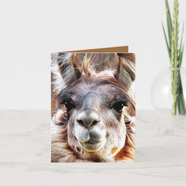 Lama Karte (Vorderseite)