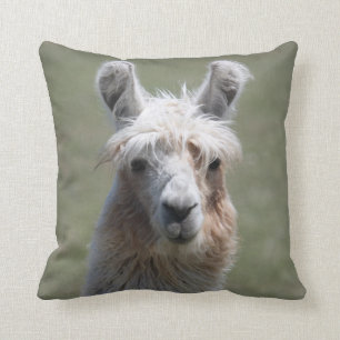Lama-Kissen Kissen