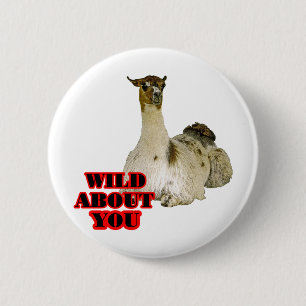 Lama-Liebhaber Button