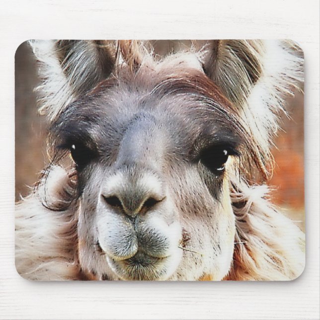 Lama Mousepad (Vorne)