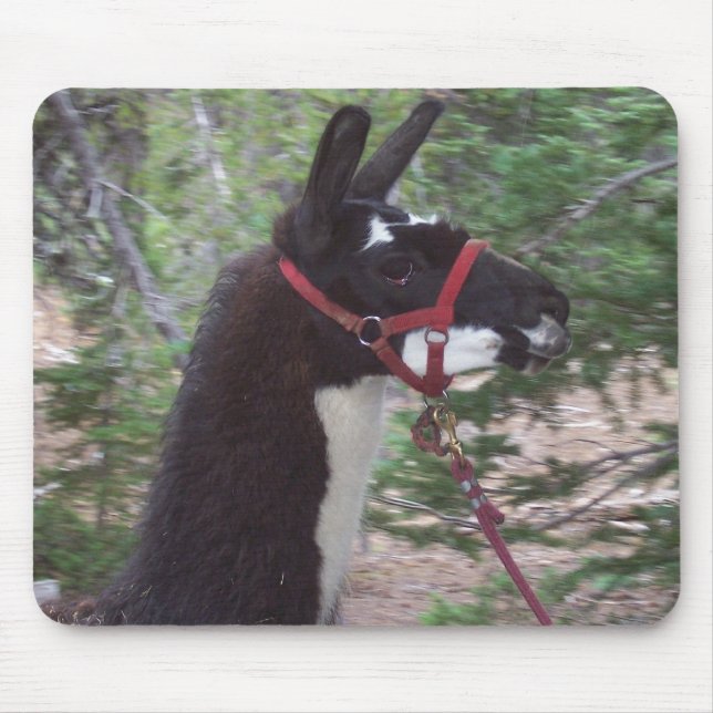 Lama-Mutter Mousepad (Vorne)