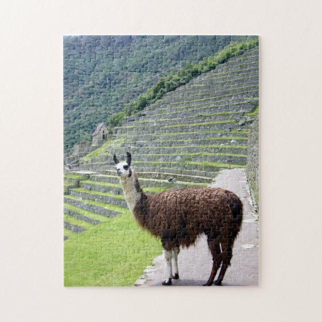 Lama peru puzzle (Vertikal)