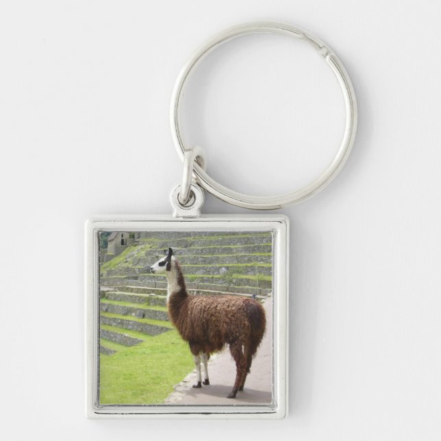 Lama peru schlüsselanhänger (Vorne)