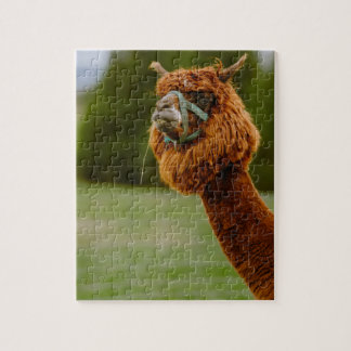 Lama-Puzzle Puzzle